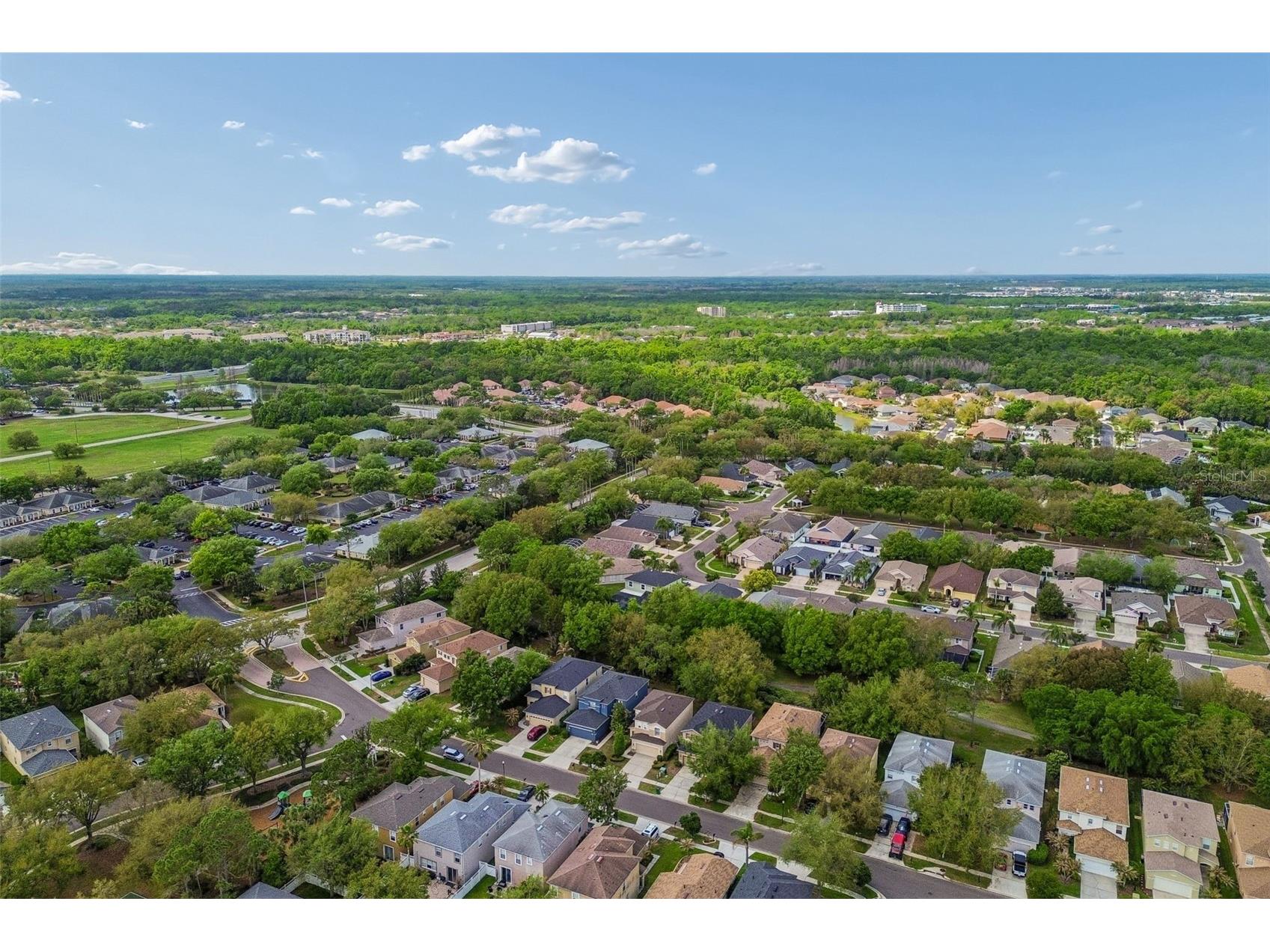 2401 Silvermoss Drive Wesley Chapel FL 33544 TB8492887 image46