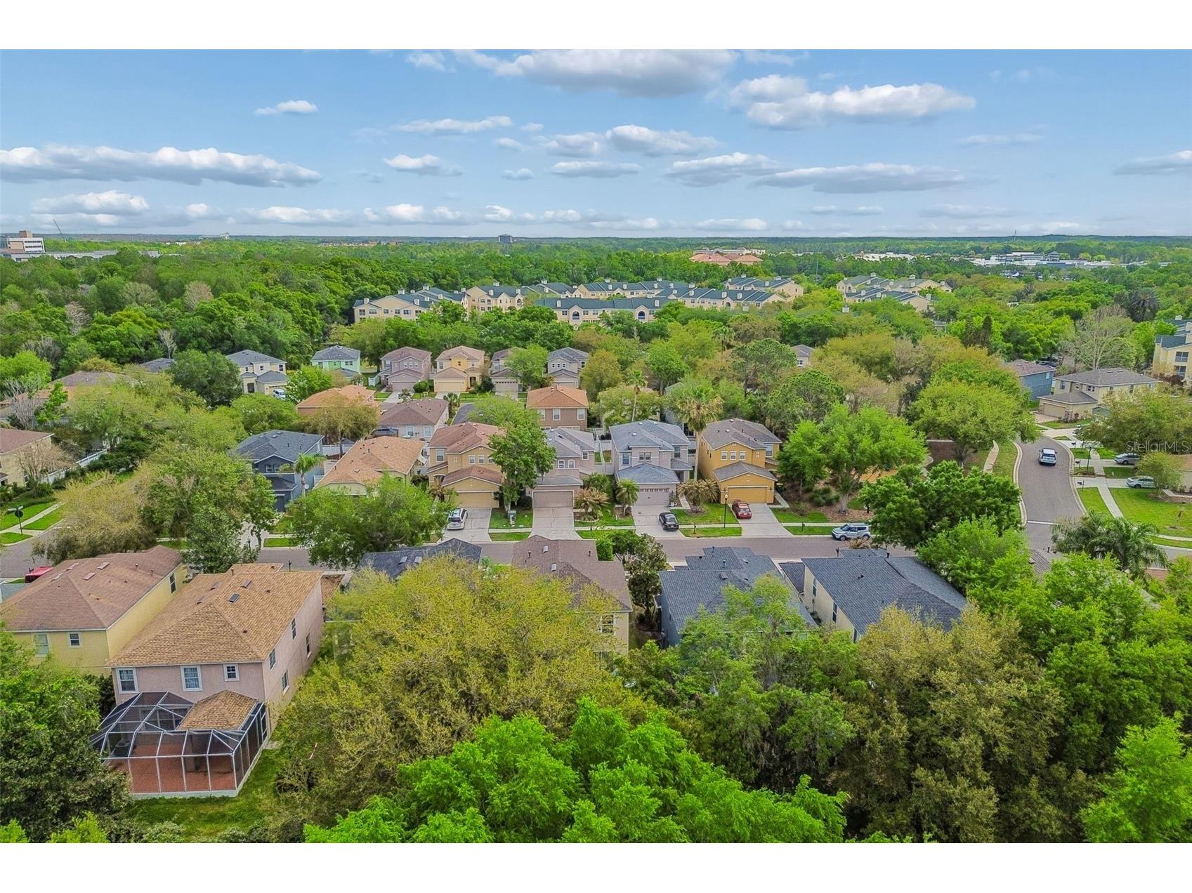 2401 Silvermoss Drive Wesley Chapel FL 33544 TB8492887 image47