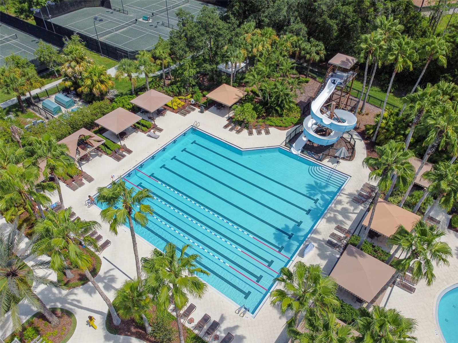 2401 Silvermoss Drive Wesley Chapel FL 33544 TB8492887 image55