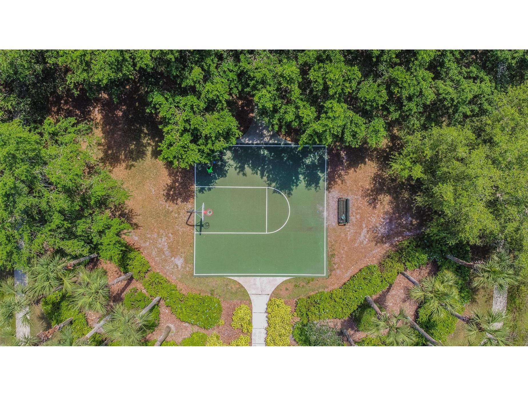 2401 Silvermoss Drive Wesley Chapel FL 33544 TB8492887 image57