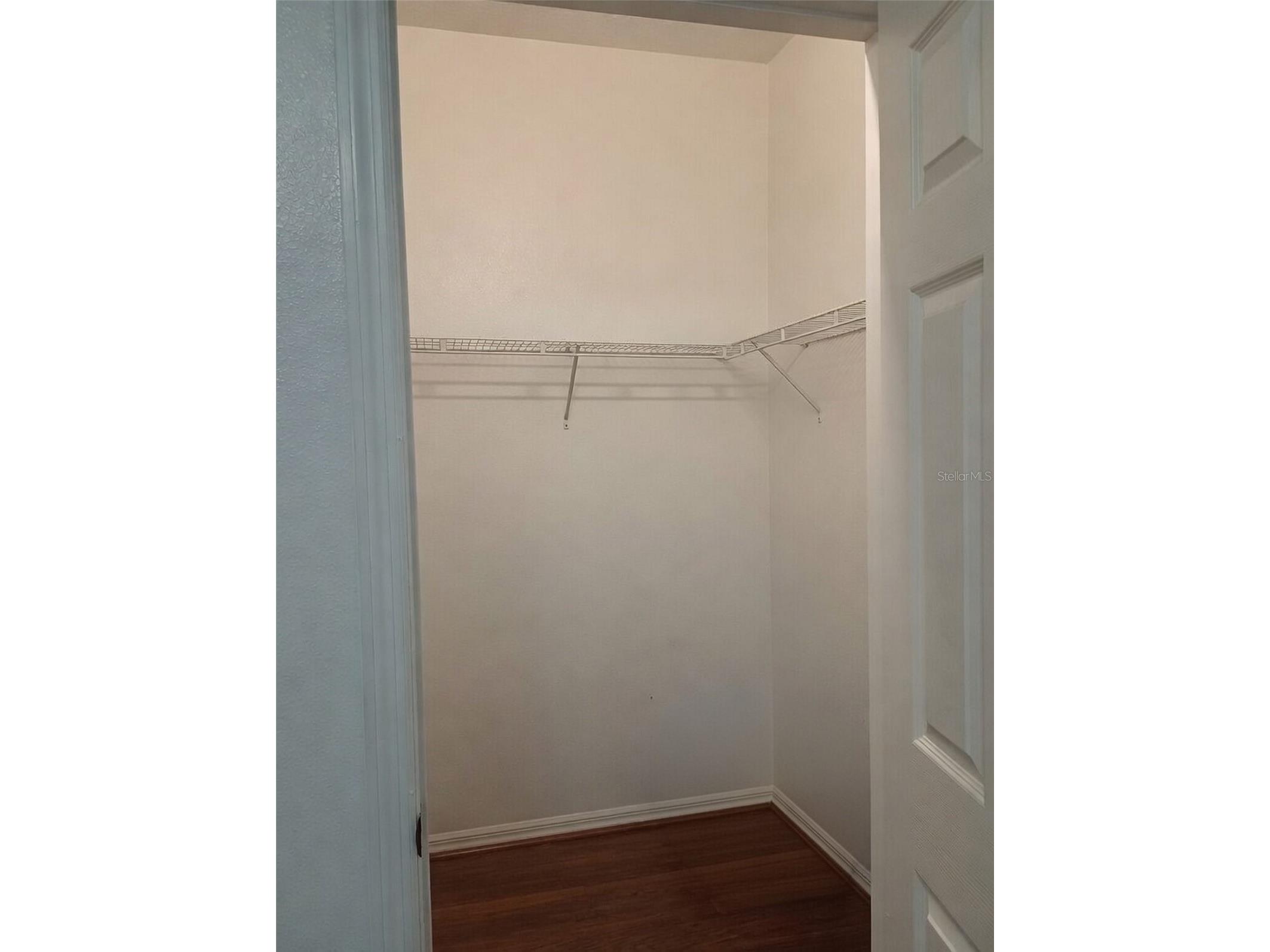 2401 Tangerine Hill Court Lutz FL 33549 TB8511479 image24
