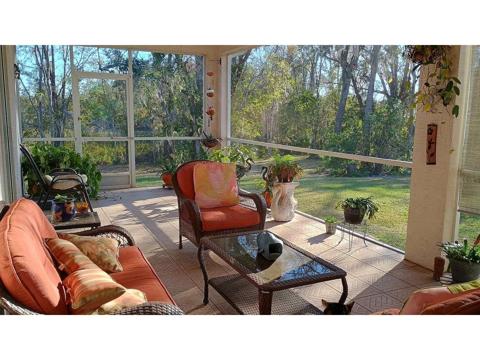 2401 Tangerine Hill Court Lutz FL 33549 TB8511479 image38
