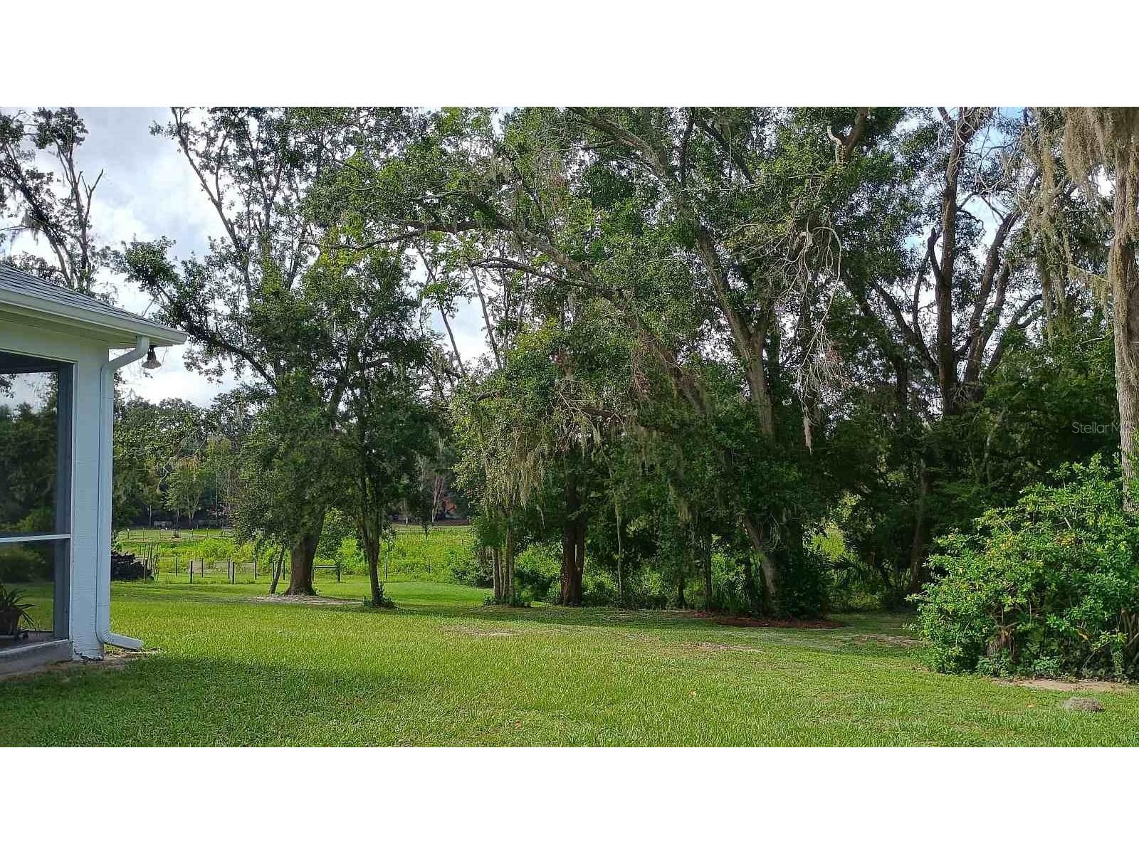2401 Tangerine Hill Court Lutz FL 33549 TB8511479 image46