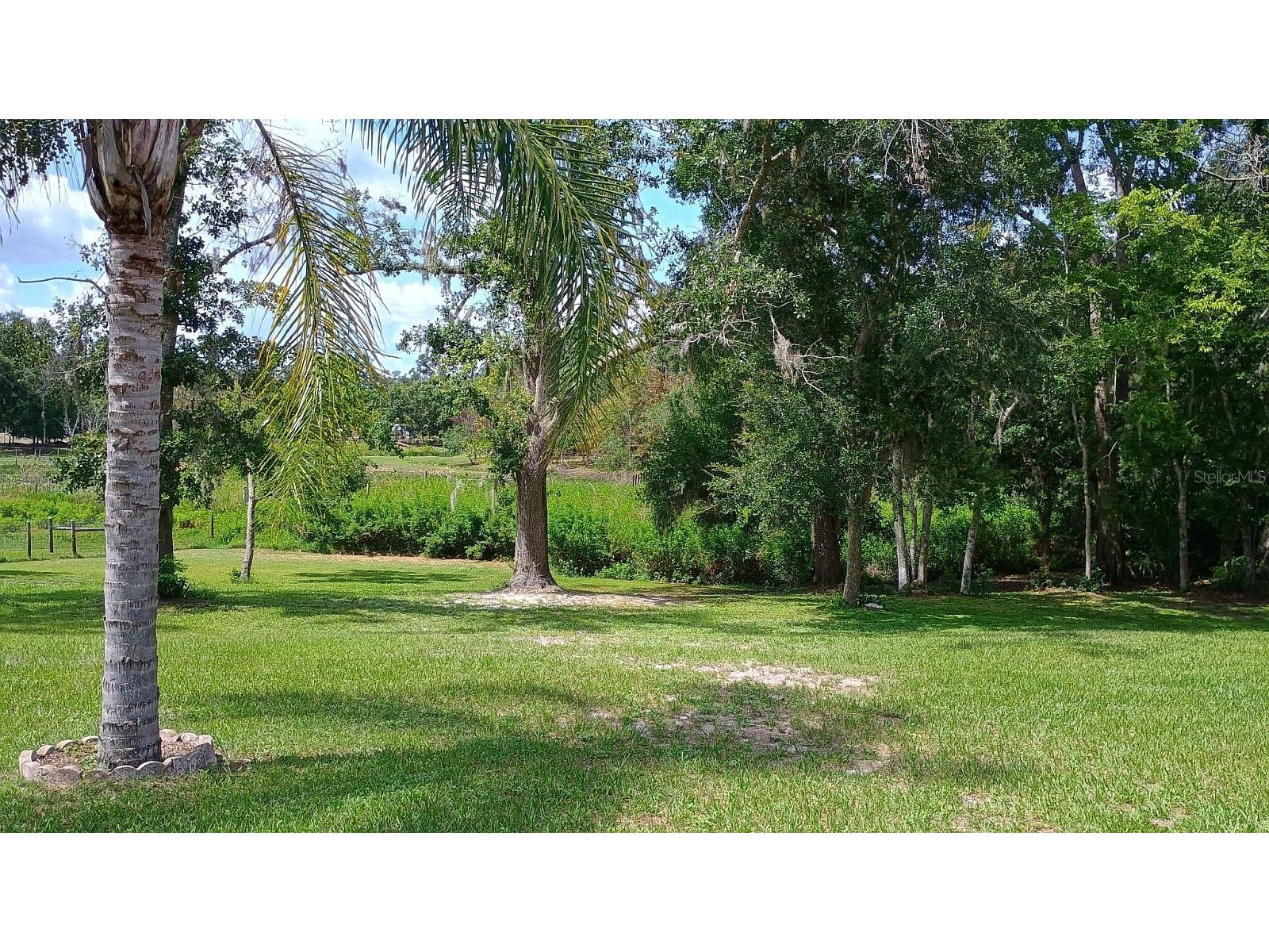 2401 Tangerine Hill Court Lutz FL 33549 TB8511479 image47