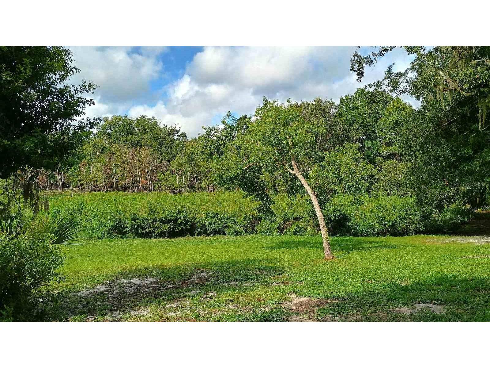 2401 Tangerine Hill Court Lutz FL 33549 TB8511479 image50