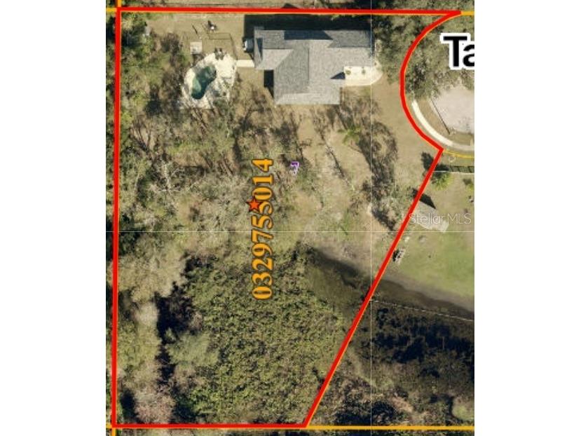 2401 Tangerine Hill Court Lutz FL 33549 TB8511479 image53