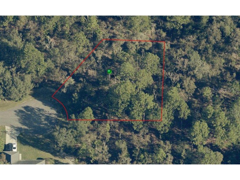 2401 W Lawrence Court Citrus Springs FL 34434 O6099192 image1