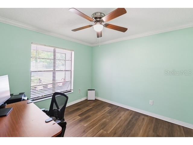 24016 Starling Circle Land O Lakes FL 34639 TB8521638 image15