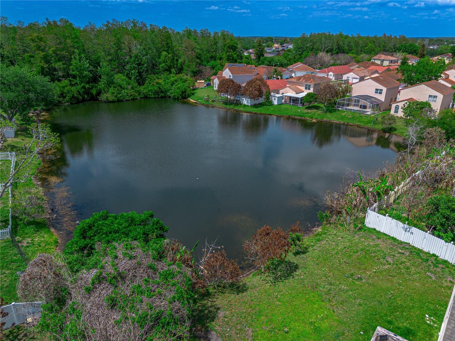 2402 Avalon Court Kissimmee FL 34743 S5147769 image38