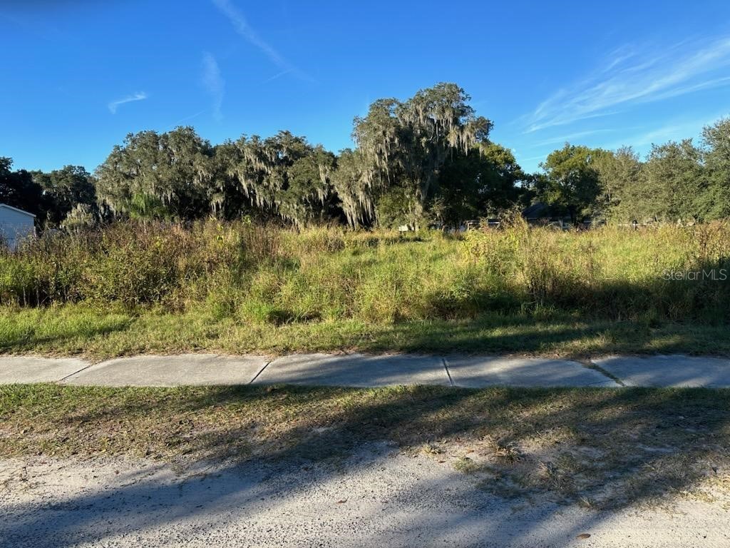 2402 Berry Road Plant City FL 33567 T3488462 image1