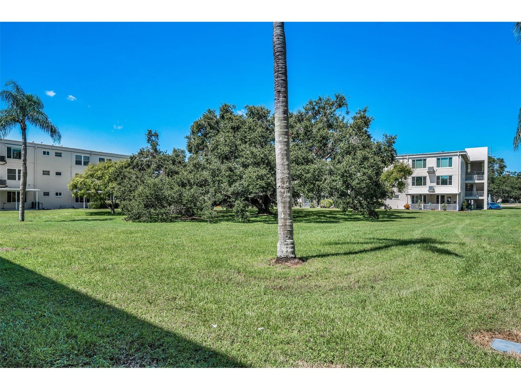 2402 Ecuadorian Way #10 Clearwater FL 33763 TB8430305 image31