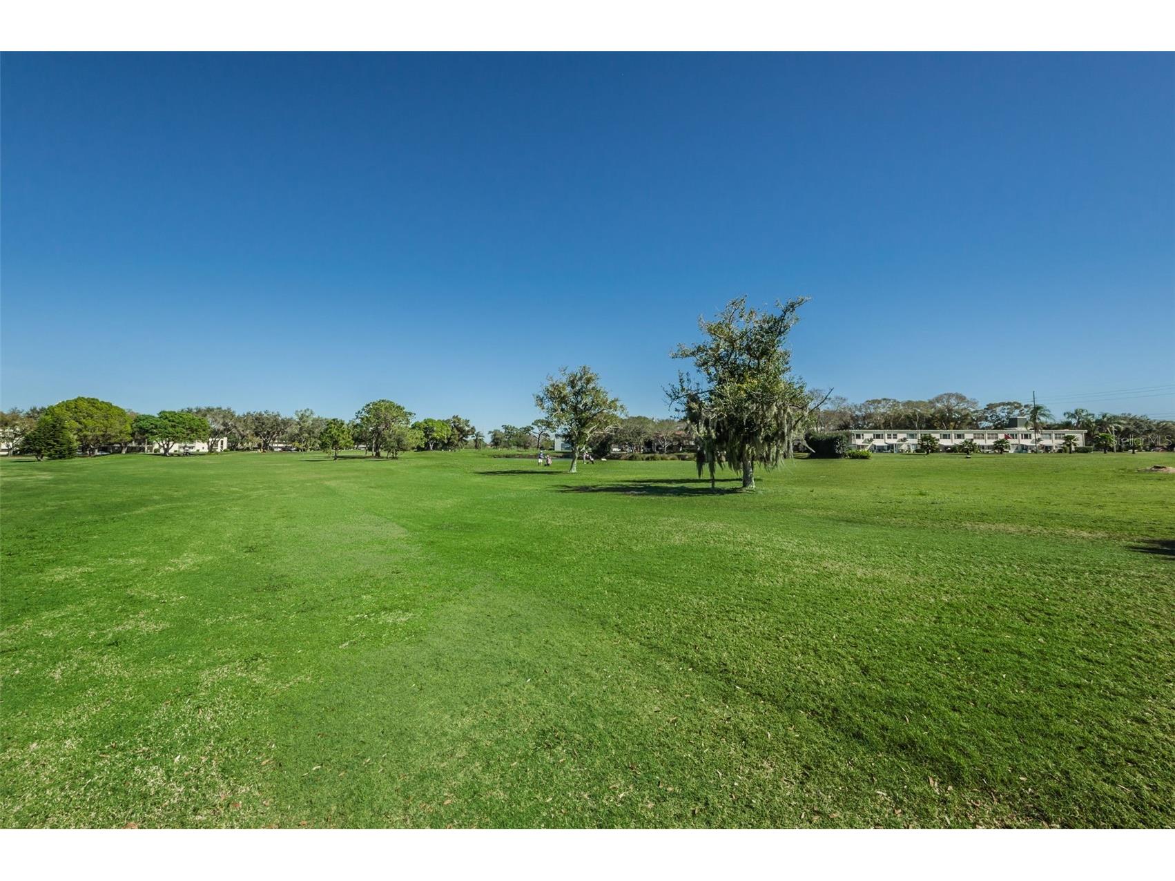 2402 Ecuadorian Way #10 Clearwater FL 33763 TB8430305 image58