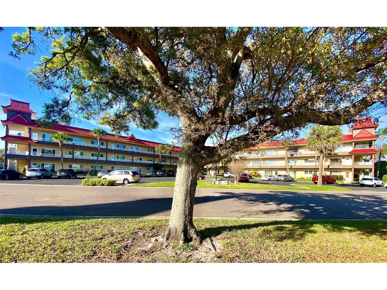 2402 Ecuadorian Way #18 Clearwater FL 33763 TB8433539 image2