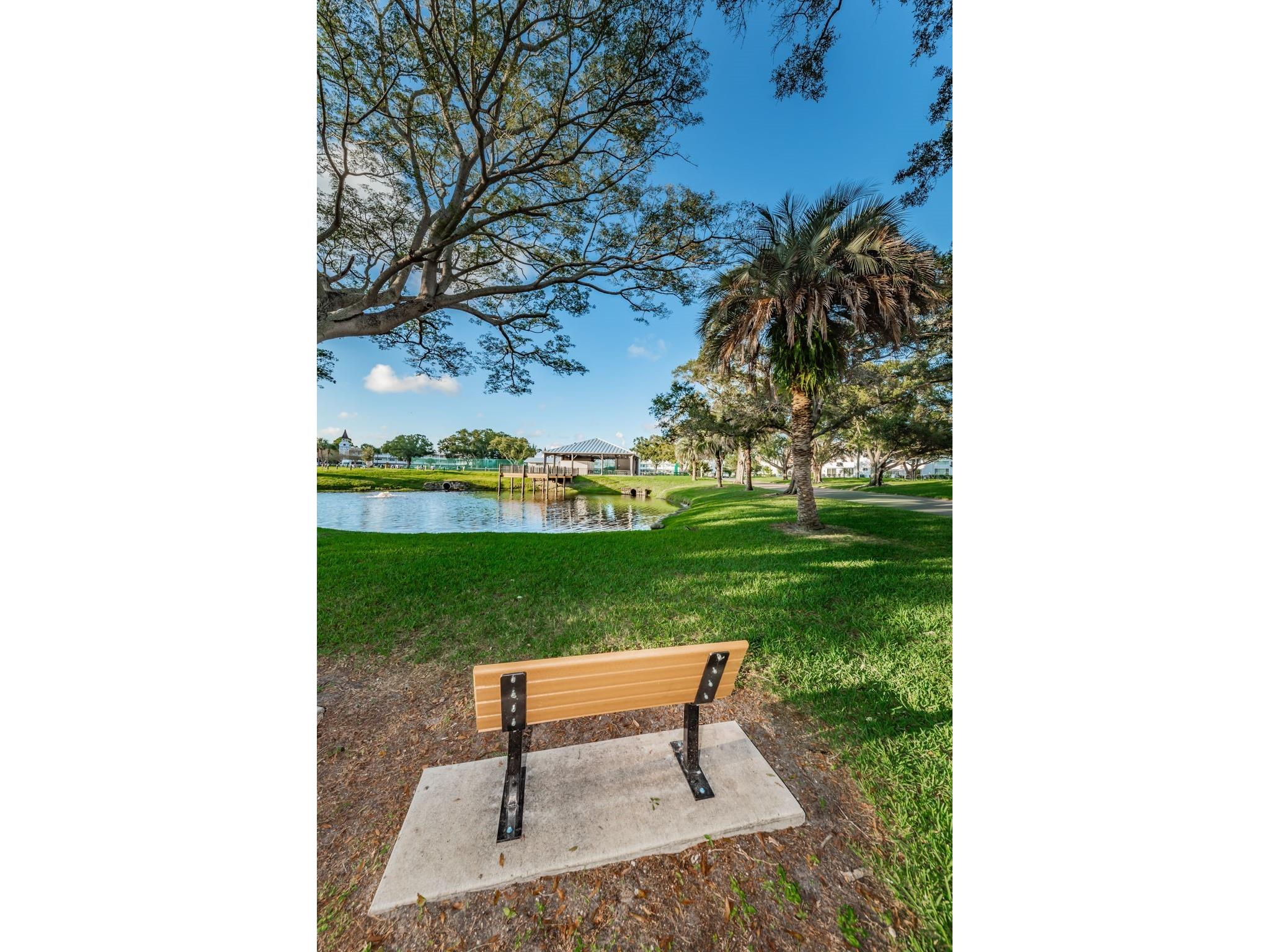 2402 Ecuadorian Way #40 Clearwater FL 33763 TB8497274 image46