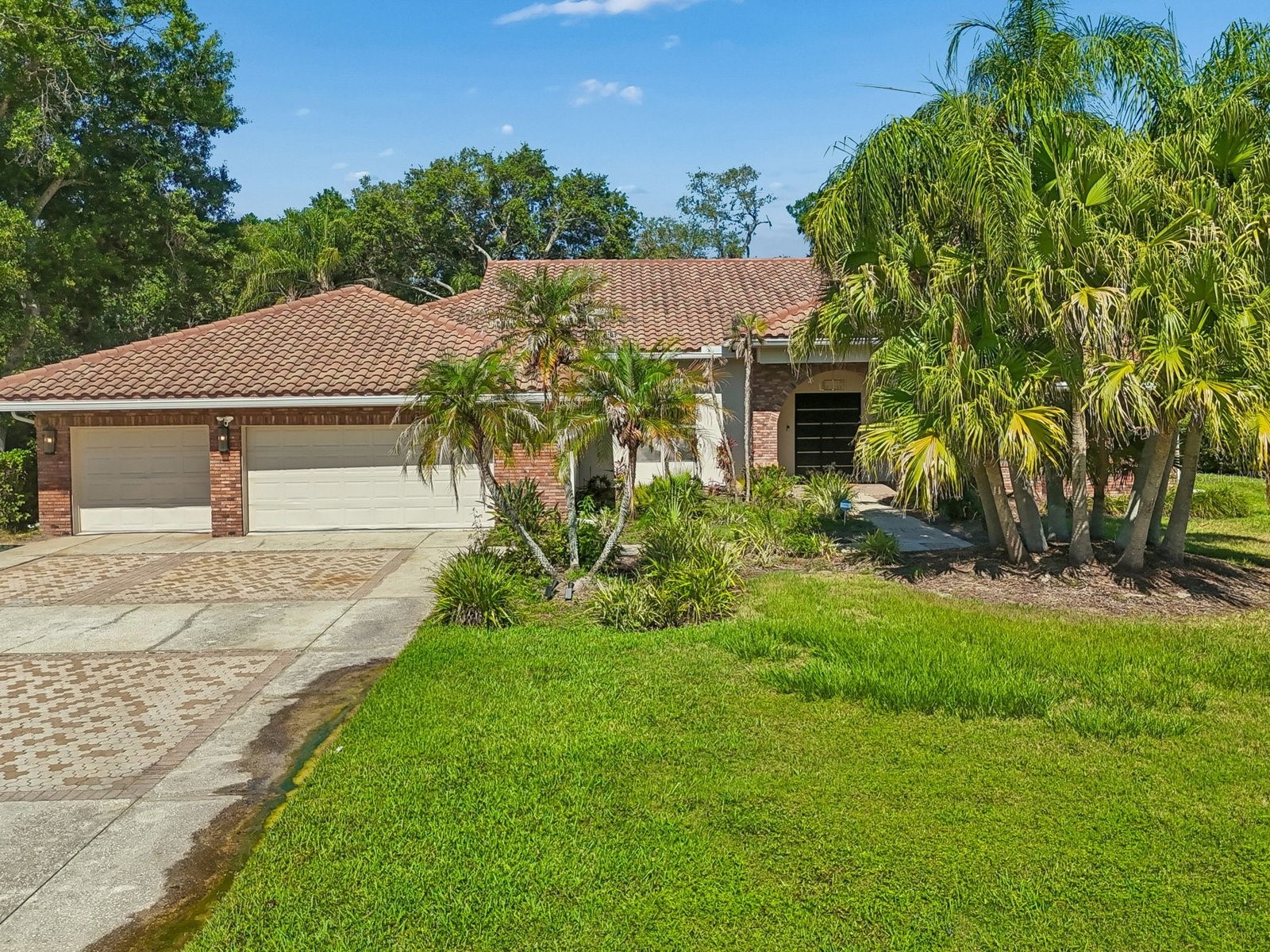2402 Huntington Boulevard Safety Harbor FL 34695 TB8510708 image3