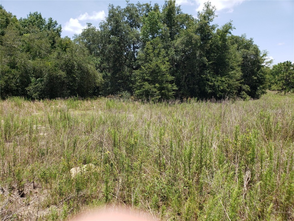 2402 Jackson Street Inverness FL 34453 OM632992 image1