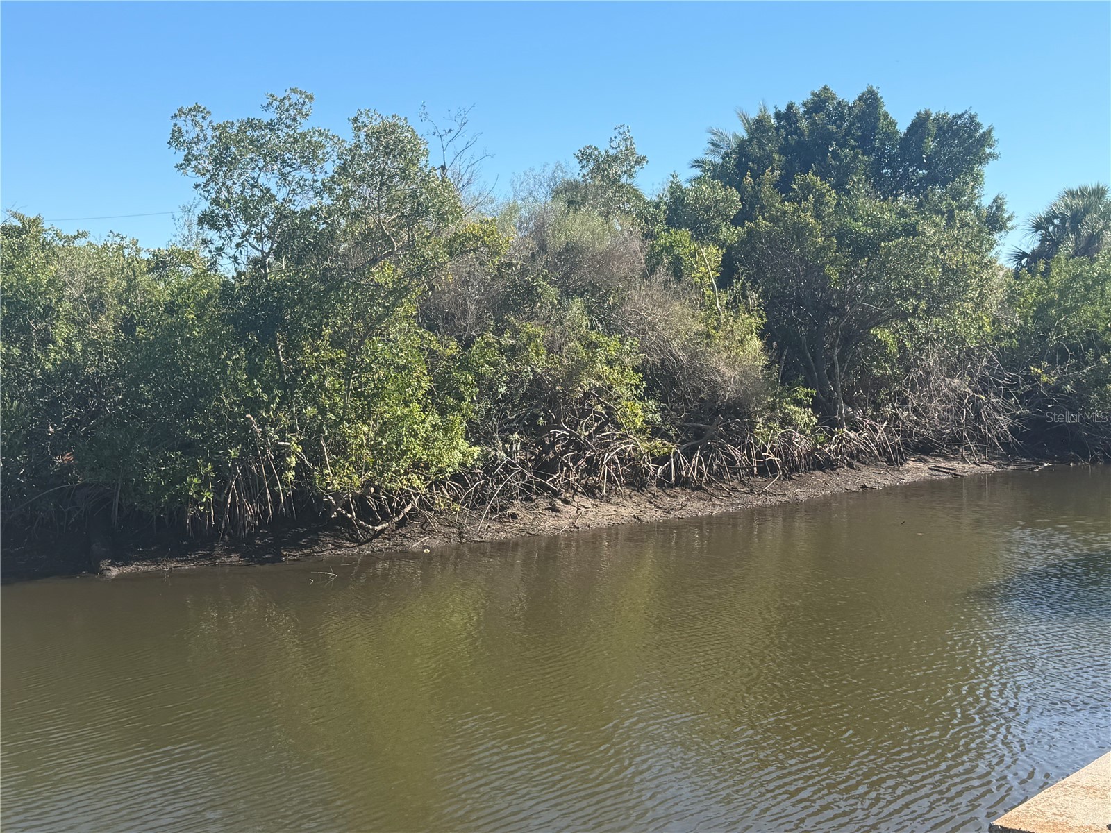2402 Larkspur Drive Punta Gorda FL 33950 A4679917 image1