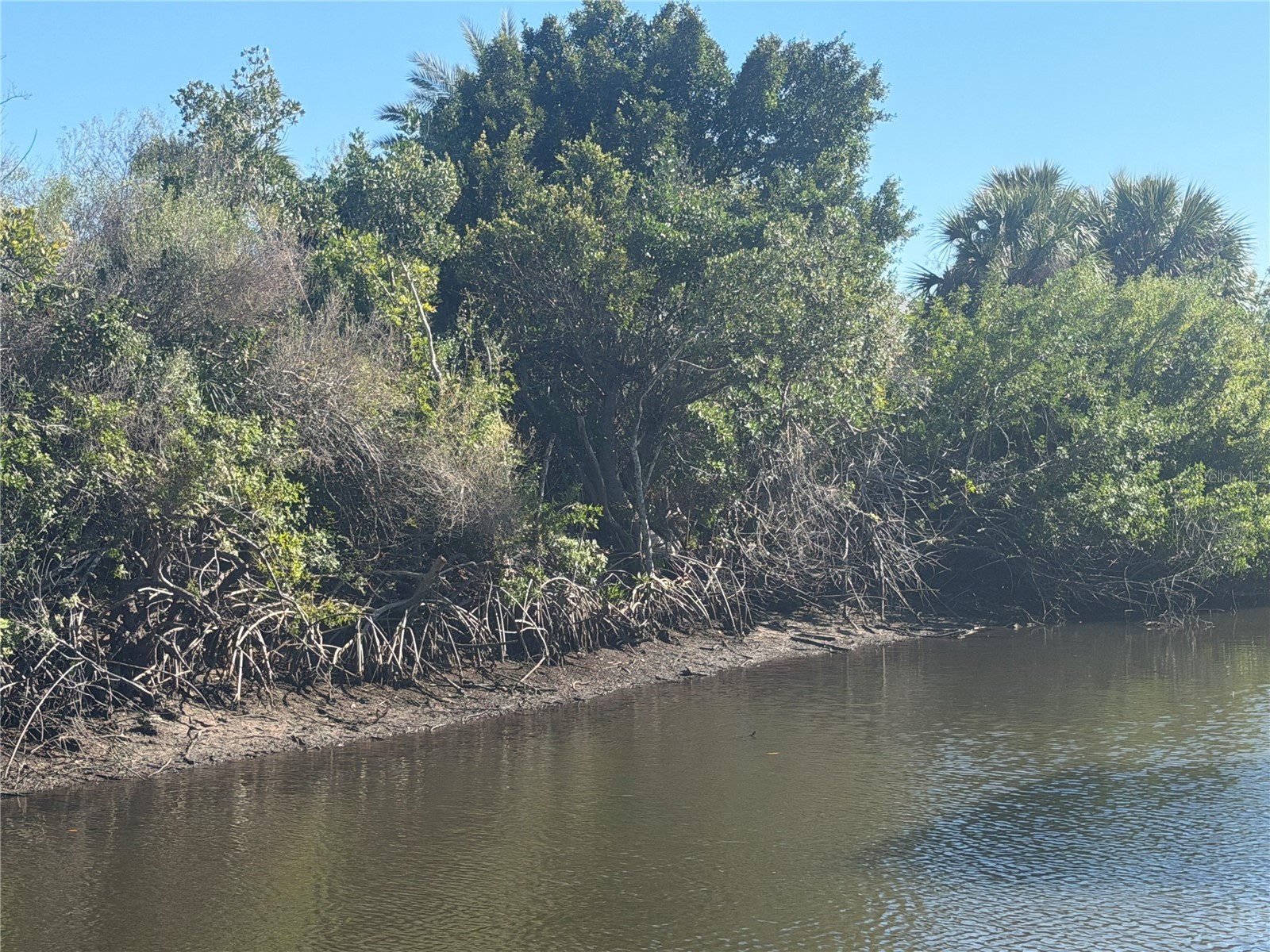 2402 Larkspur Drive Punta Gorda FL 33950 A4679917 image10