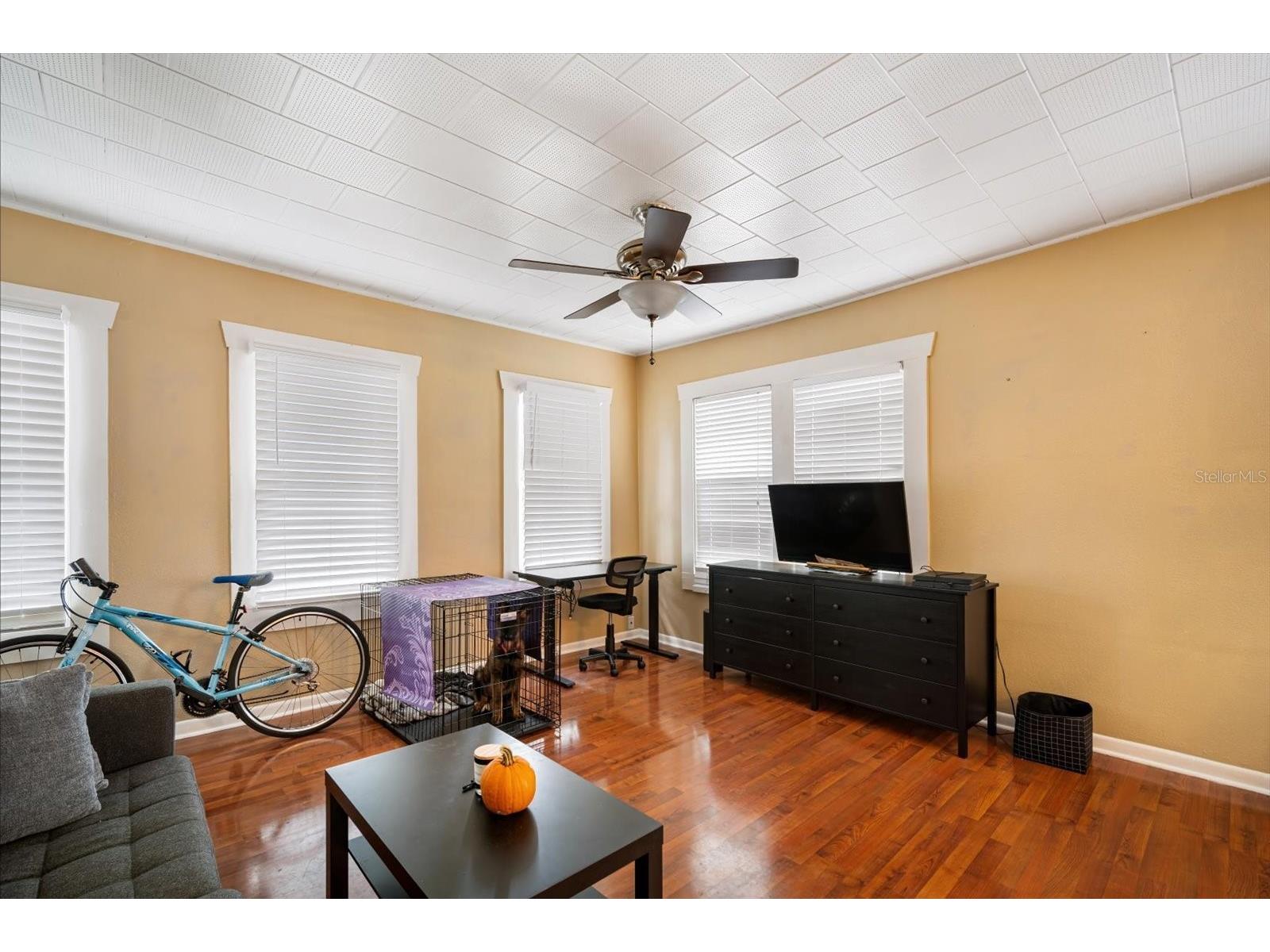 2402 N Ridgewood Avenue Tampa FL 33602 TB8440288 image41