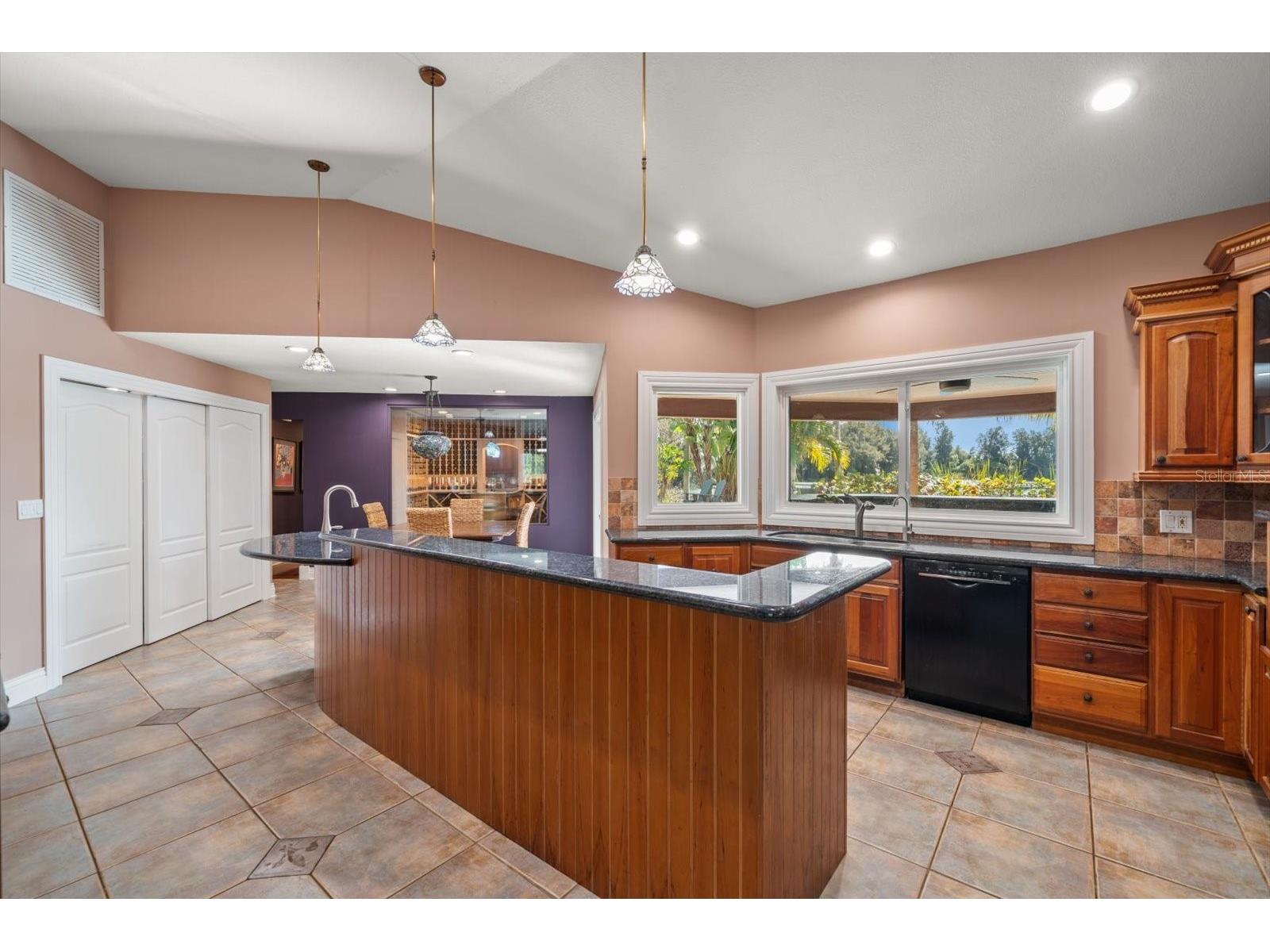 2402 Pine Hammock Clearwater FL 33764 TB8463686 image20