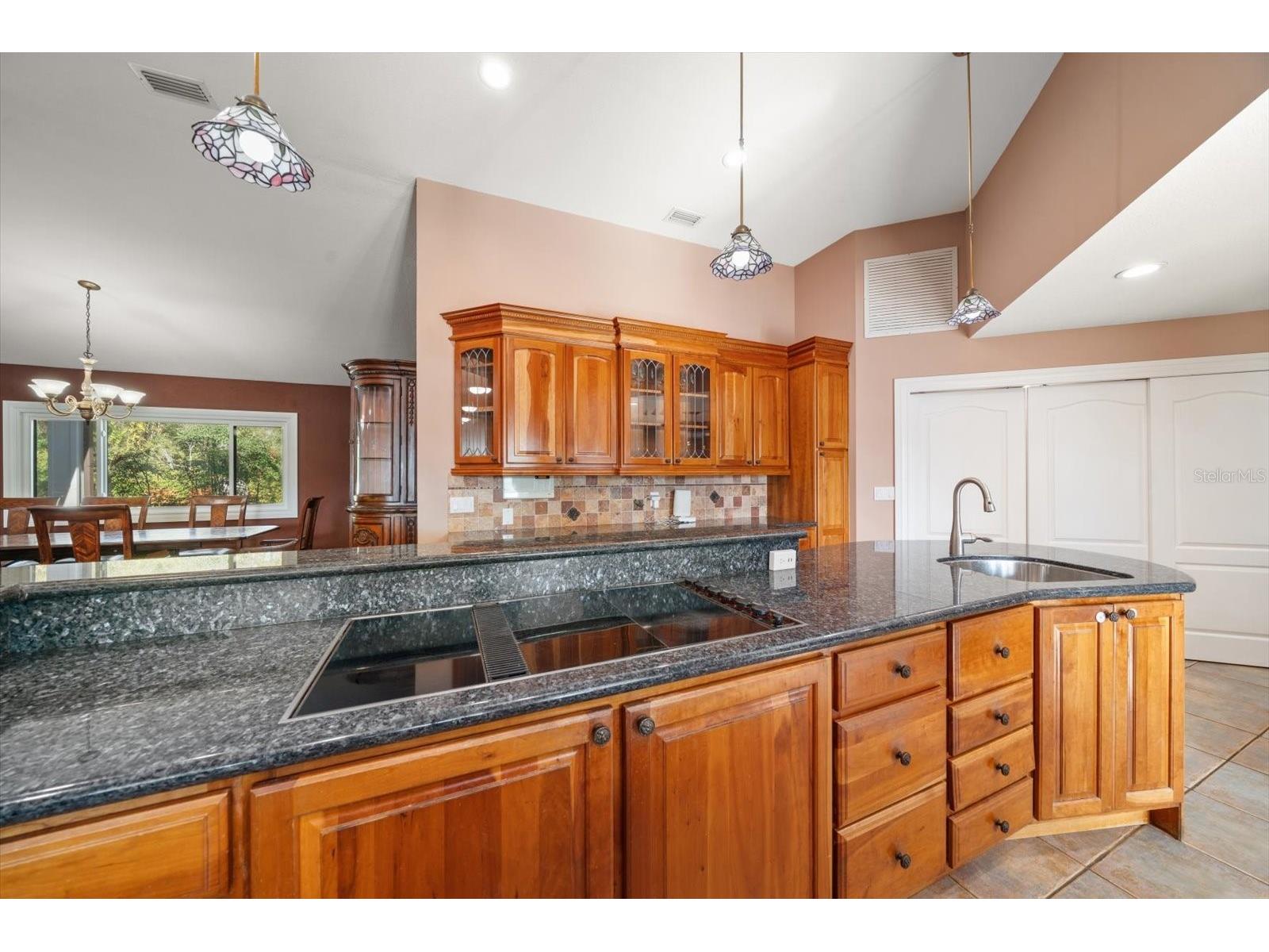 2402 Pine Hammock Clearwater FL 33764 TB8463686 image21