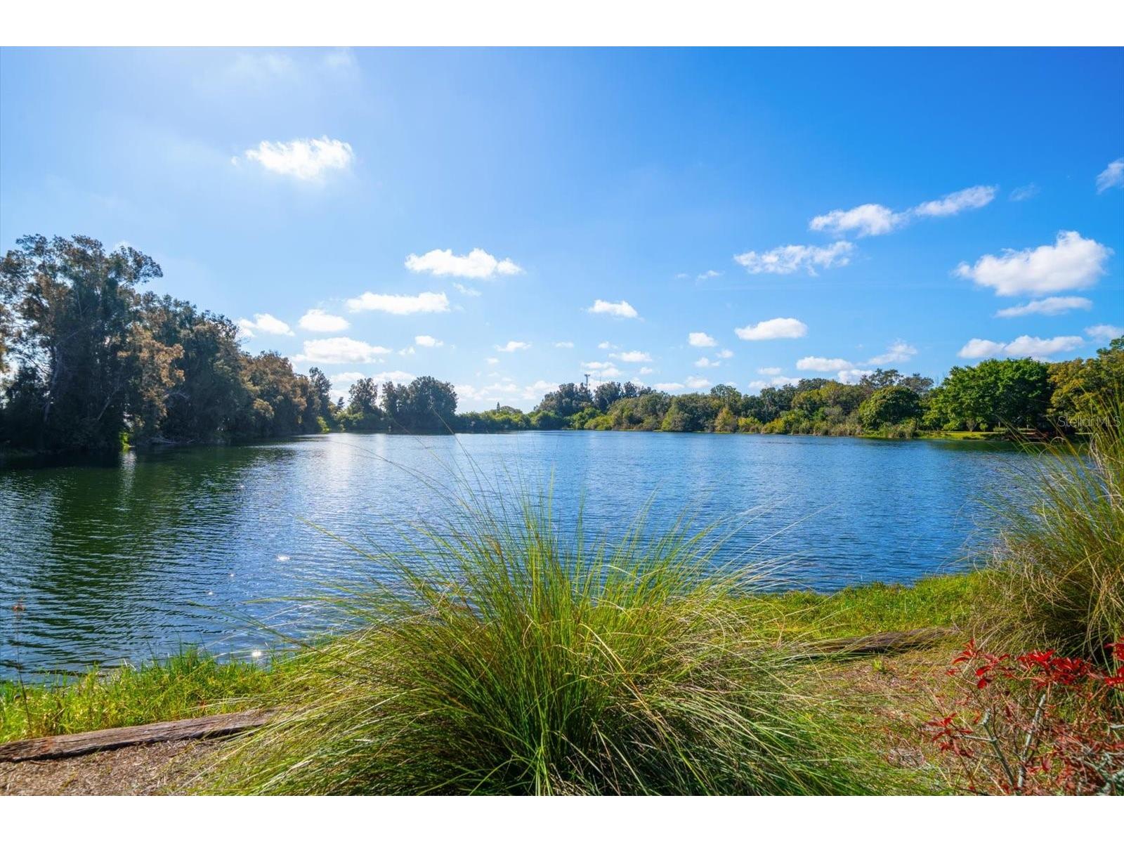 2402 Pine Hammock Clearwater FL 33764 TB8463686 image3