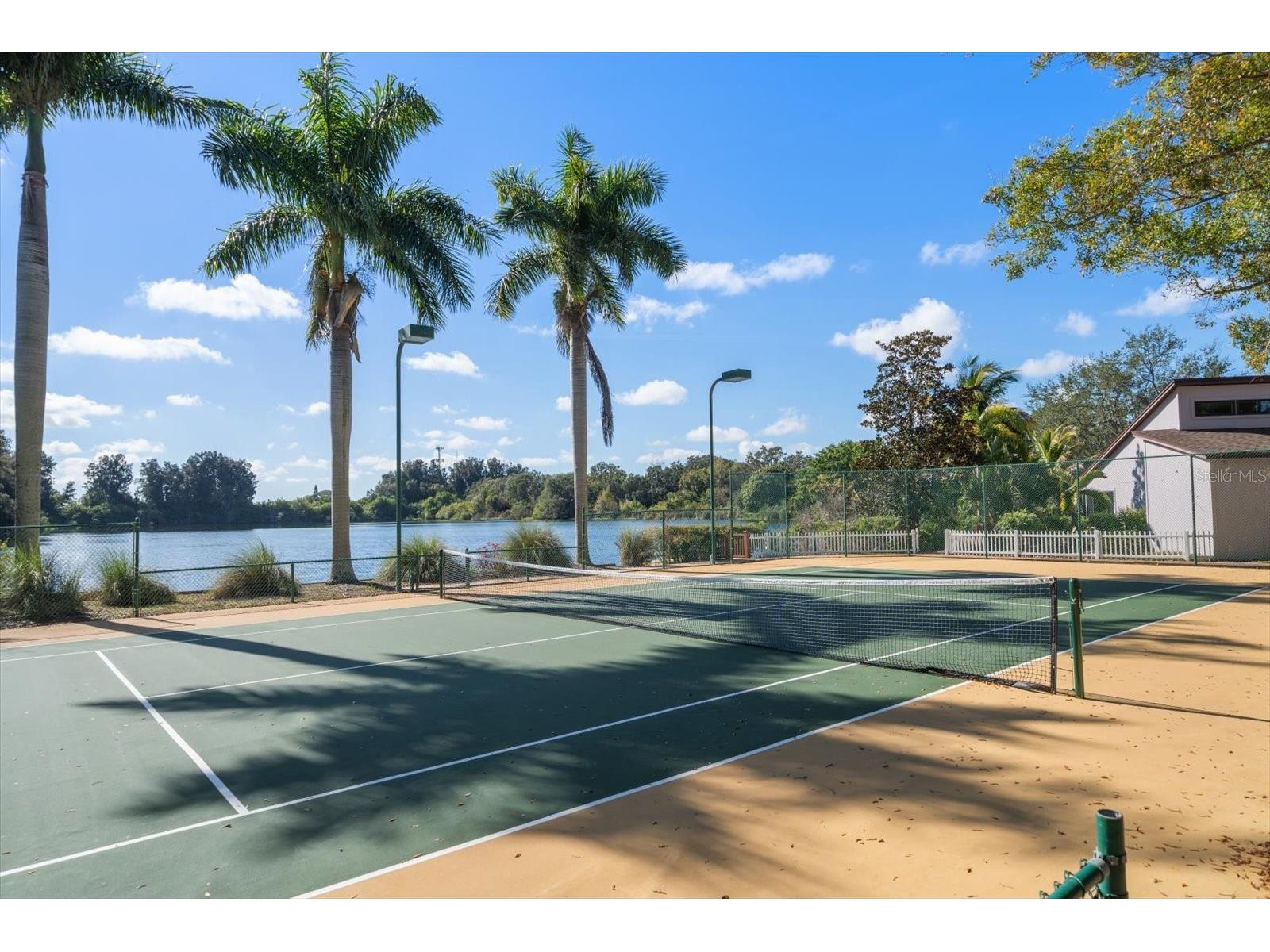 2402 Pine Hammock Clearwater FL 33764 TB8463686 image4