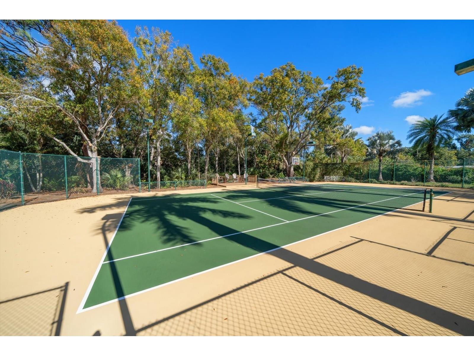 2402 Pine Hammock Clearwater FL 33764 TB8463686 image69