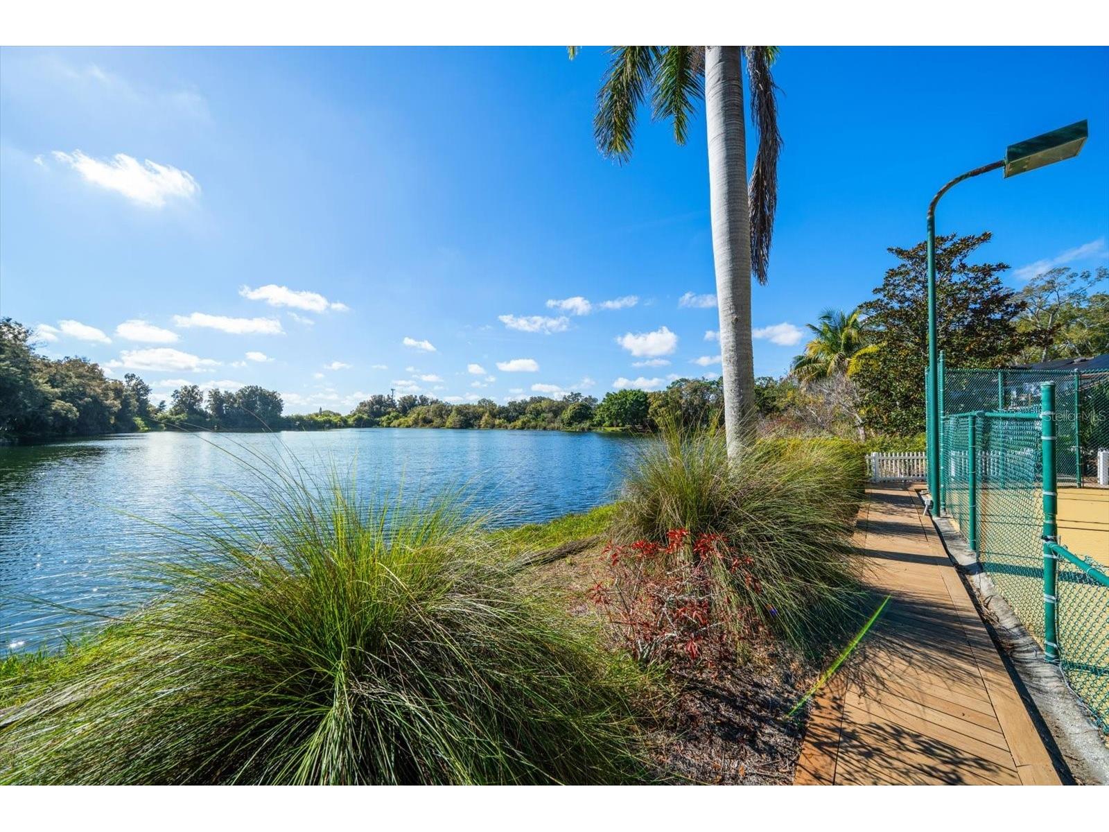 2402 Pine Hammock Clearwater FL 33764 TB8463686 image7