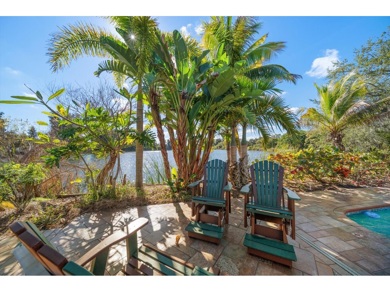 2402 Pine Hammock Clearwater FL 33764 TB8463686 image71