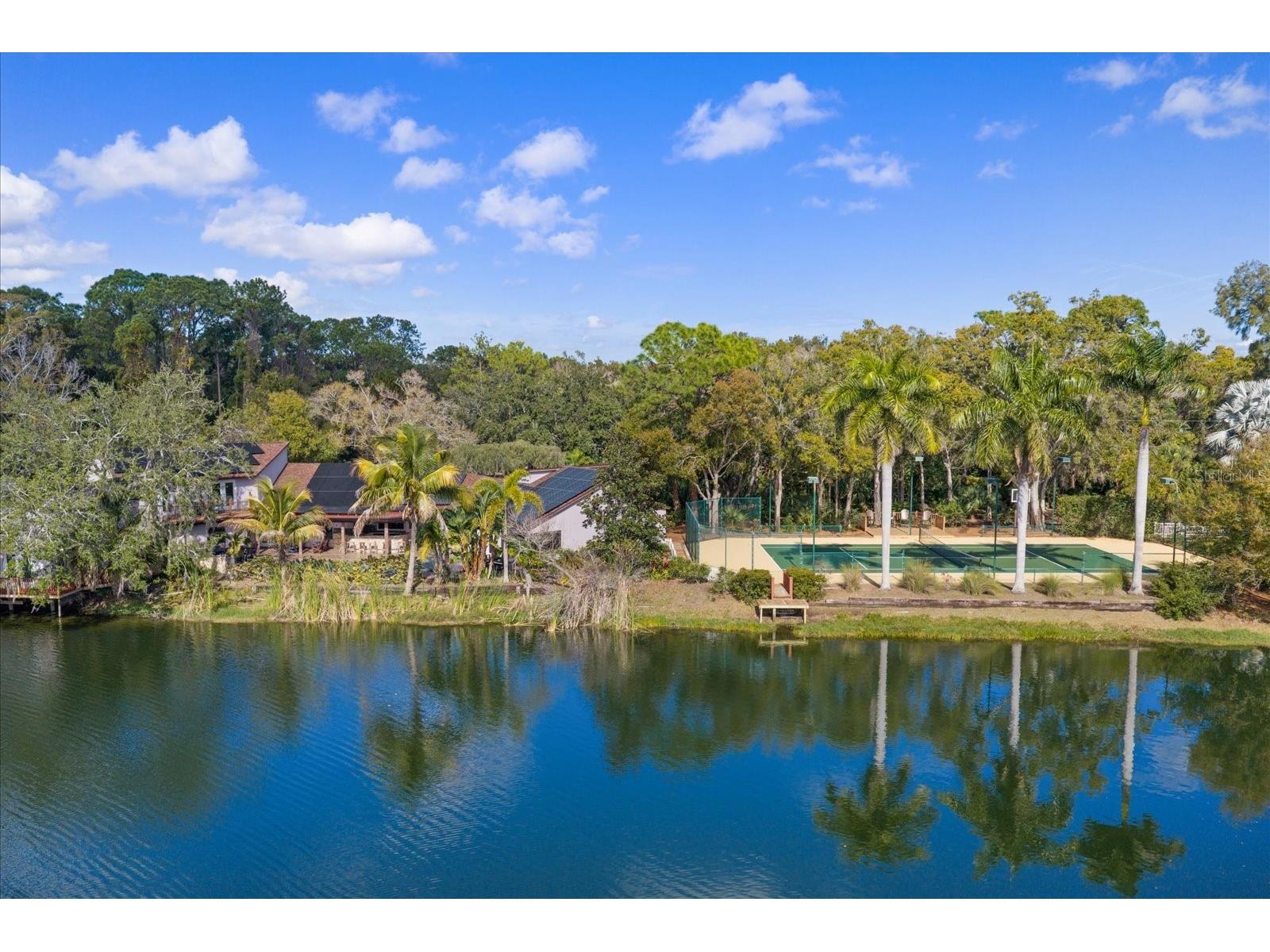 2402 Pine Hammock Clearwater FL 33764 TB8463686 image82