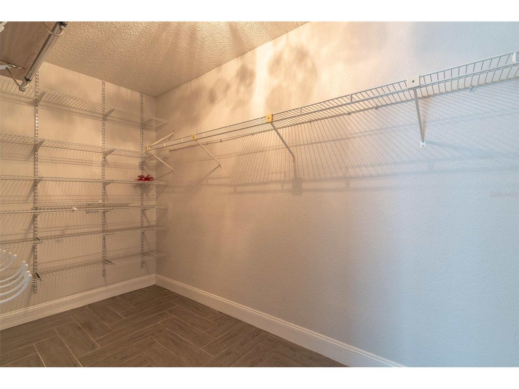 2402 Prairie Place Lutz FL 33549 TB8505142 image21