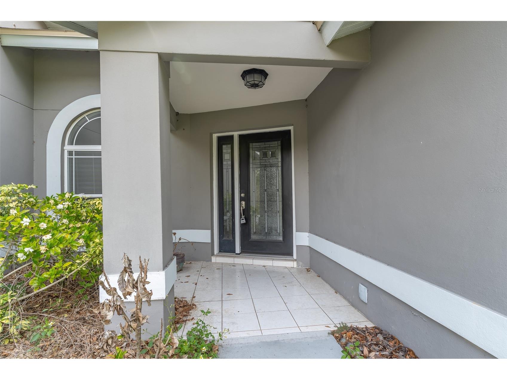 2402 Prairie Place Lutz FL 33549 TB8505142 image4