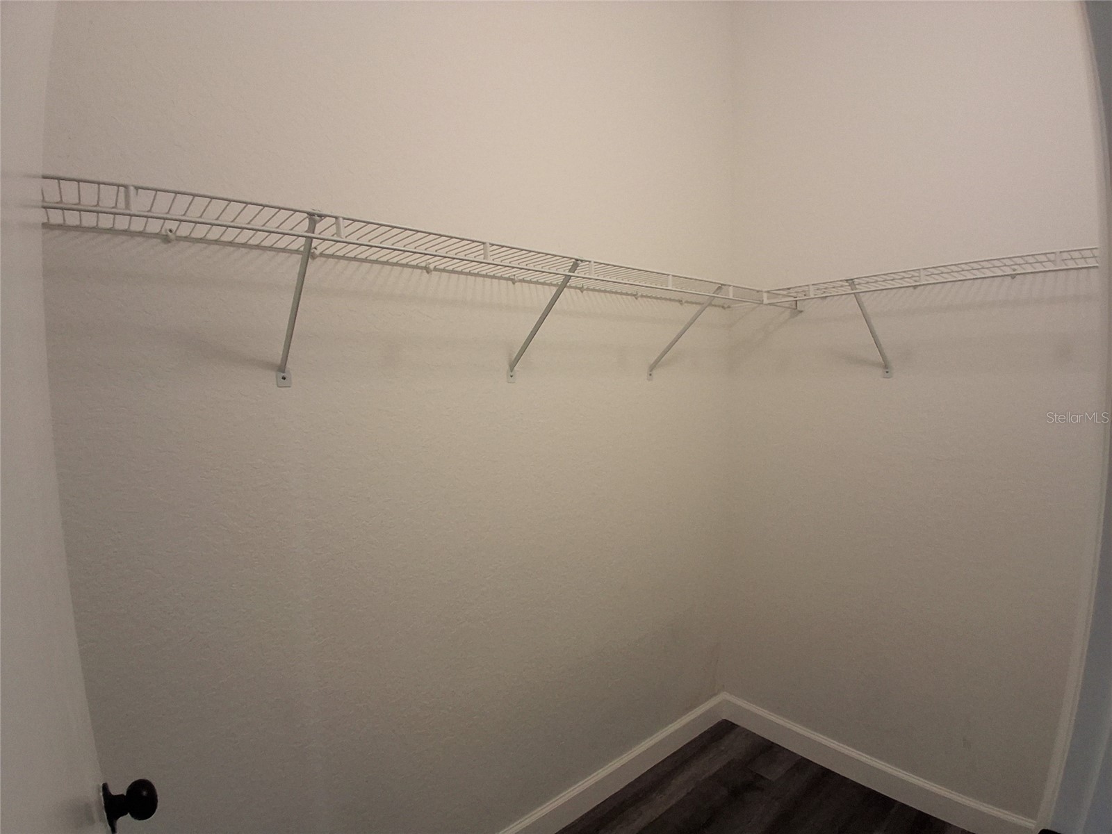 2402 W Azeele Street #417 Tampa FL 33609 TB8504666 image14