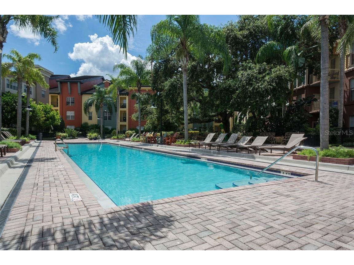 2402 W Azeele Street #431 Tampa FL 33609 TB8454656 image29