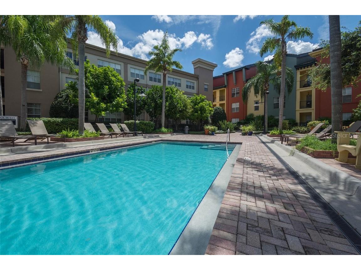 2402 W Azeele Street #431 Tampa FL 33609 TB8454656 image30