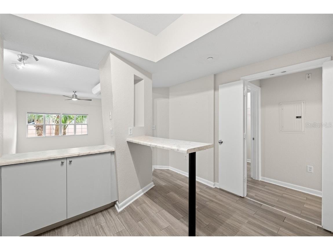 2402 W Azeele Street #431 Tampa FL 33609 TB8454656 image6