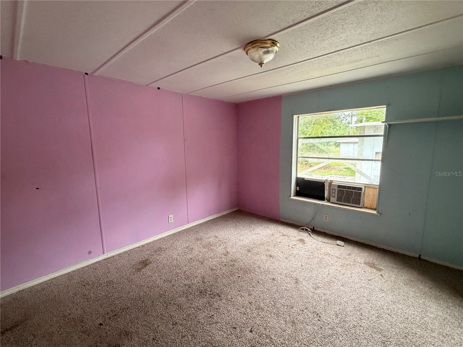 24021 Armadillo Road Astor FL 32102 R4911152 image21