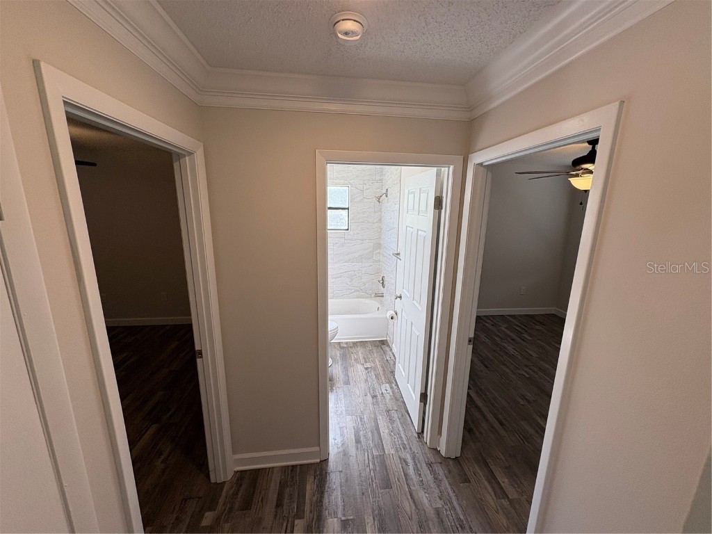 24024 Deer Road Astor FL 32102 R4909890 image7