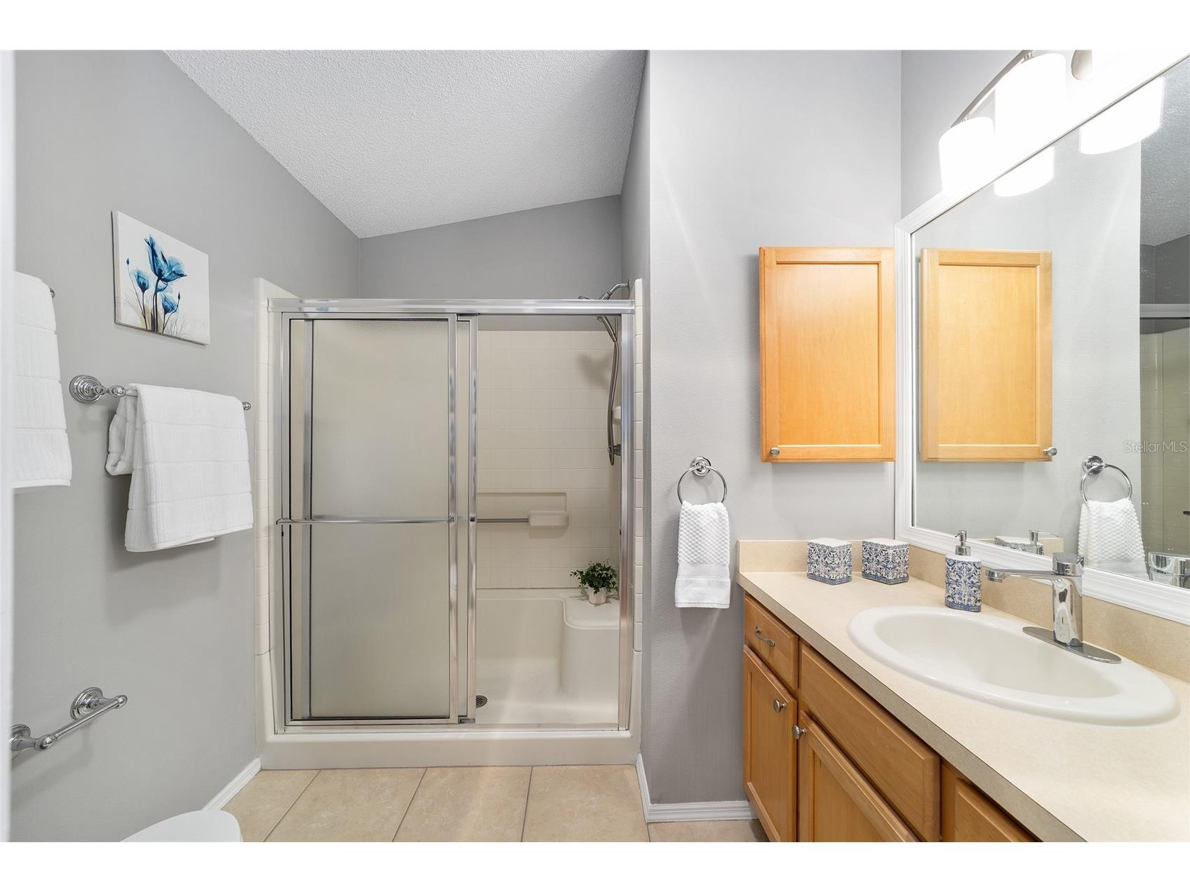 2403 Baton Place The Villages FL 32162 G5110656 image14