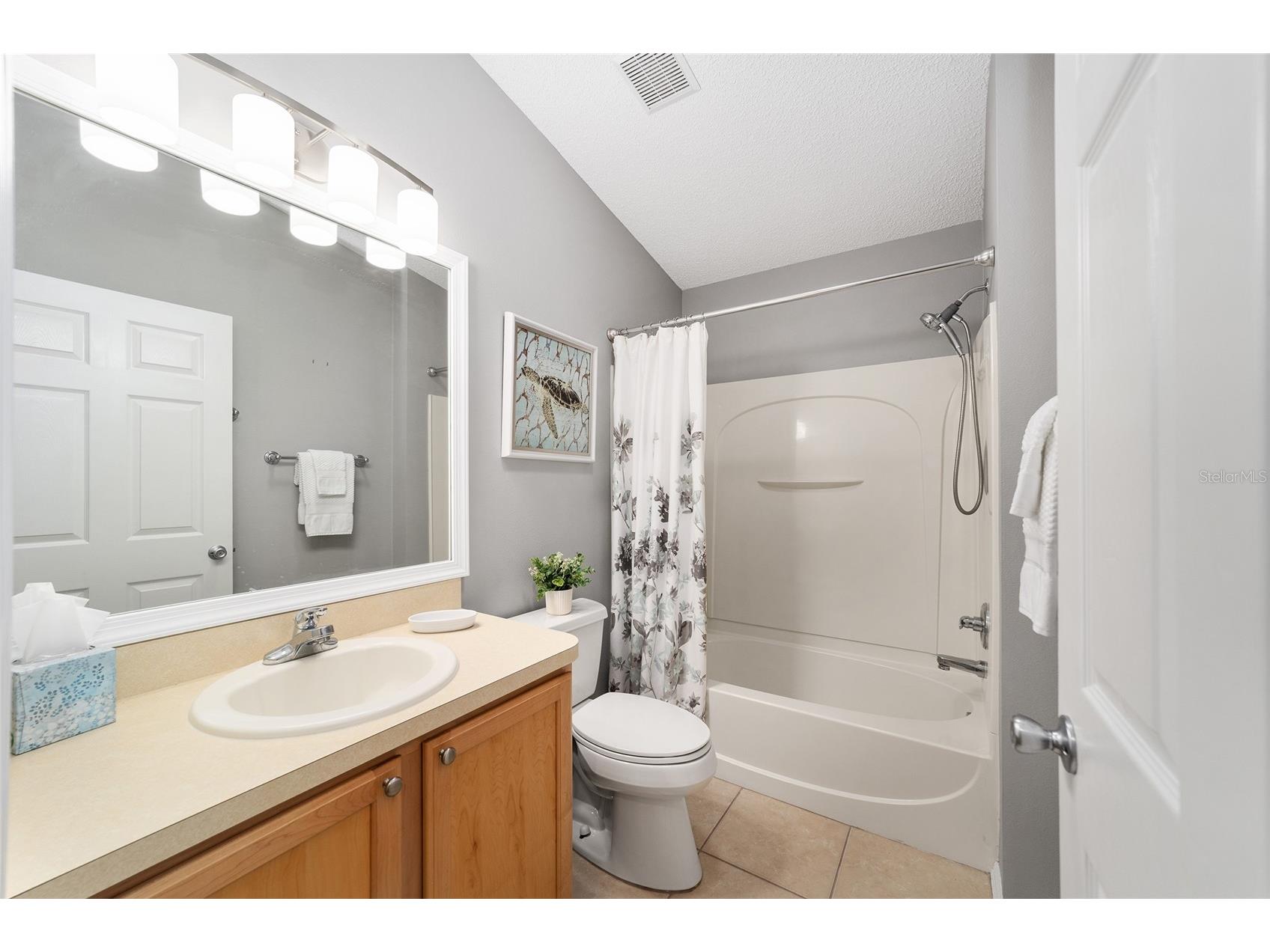 2403 Baton Place The Villages FL 32162 G5110656 image17