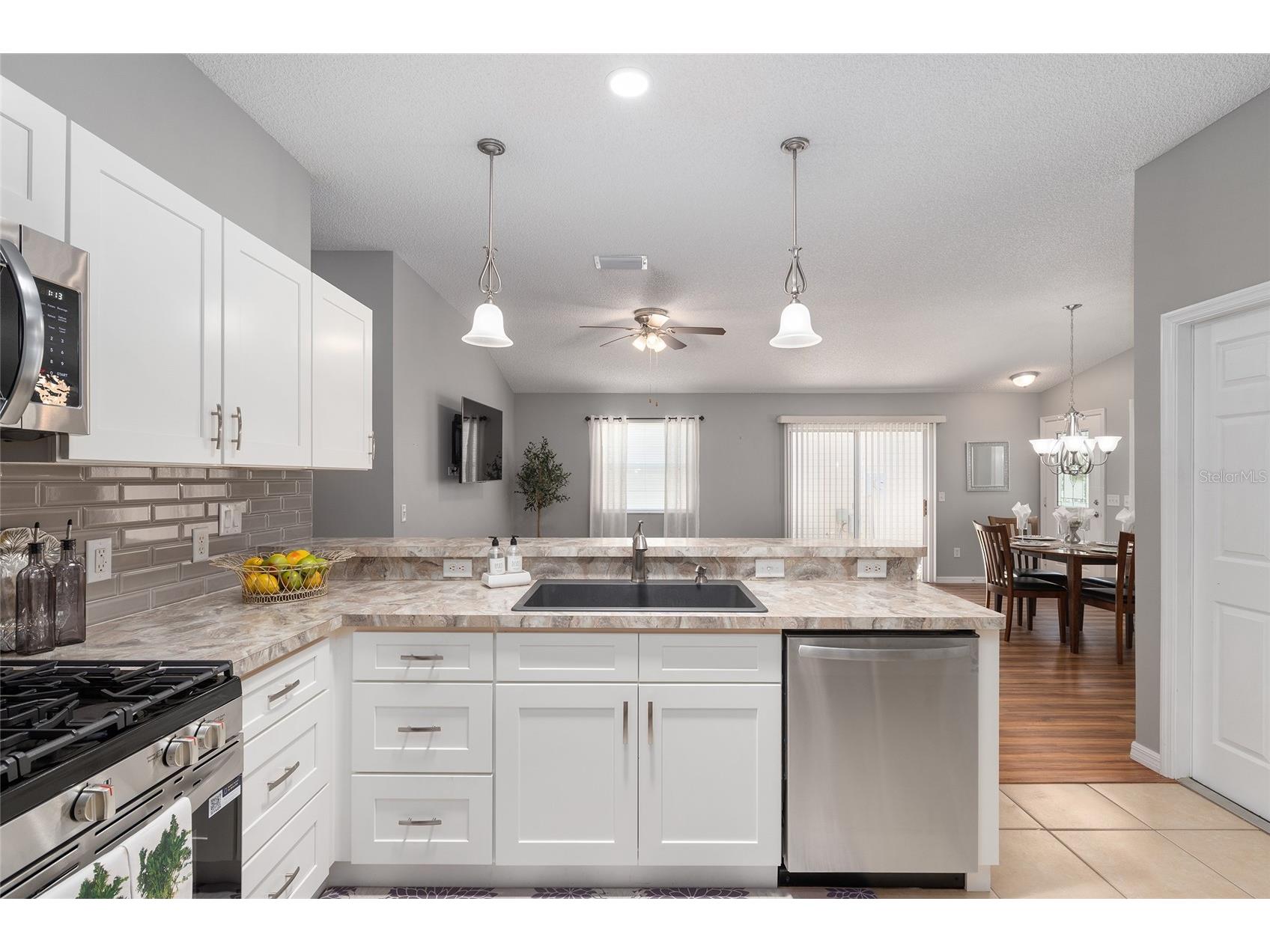 2403 Baton Place The Villages FL 32162 G5110656 image38