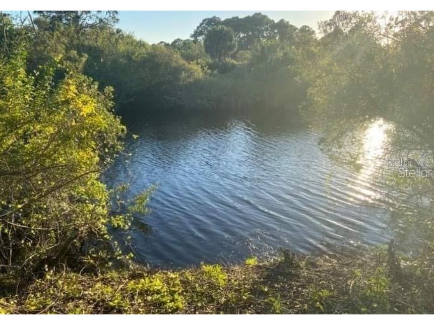 2403 Chapel Drive Port Charlotte FL 33953 TB8352998 image2
