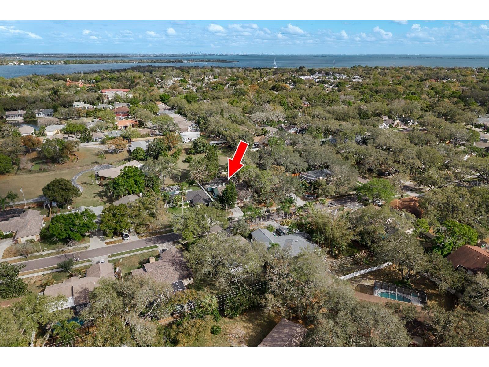 2403 Country Trails Drive Safety Harbor FL 34695 TB8469854 image46