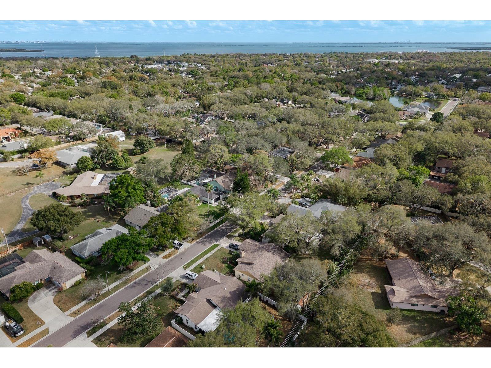 2403 Country Trails Drive Safety Harbor FL 34695 TB8469854 image47