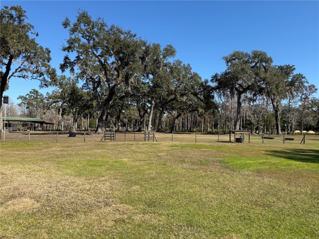 2403 County Road 416n Lake Panasoffkee FL 33538 - POND G5091476 image100