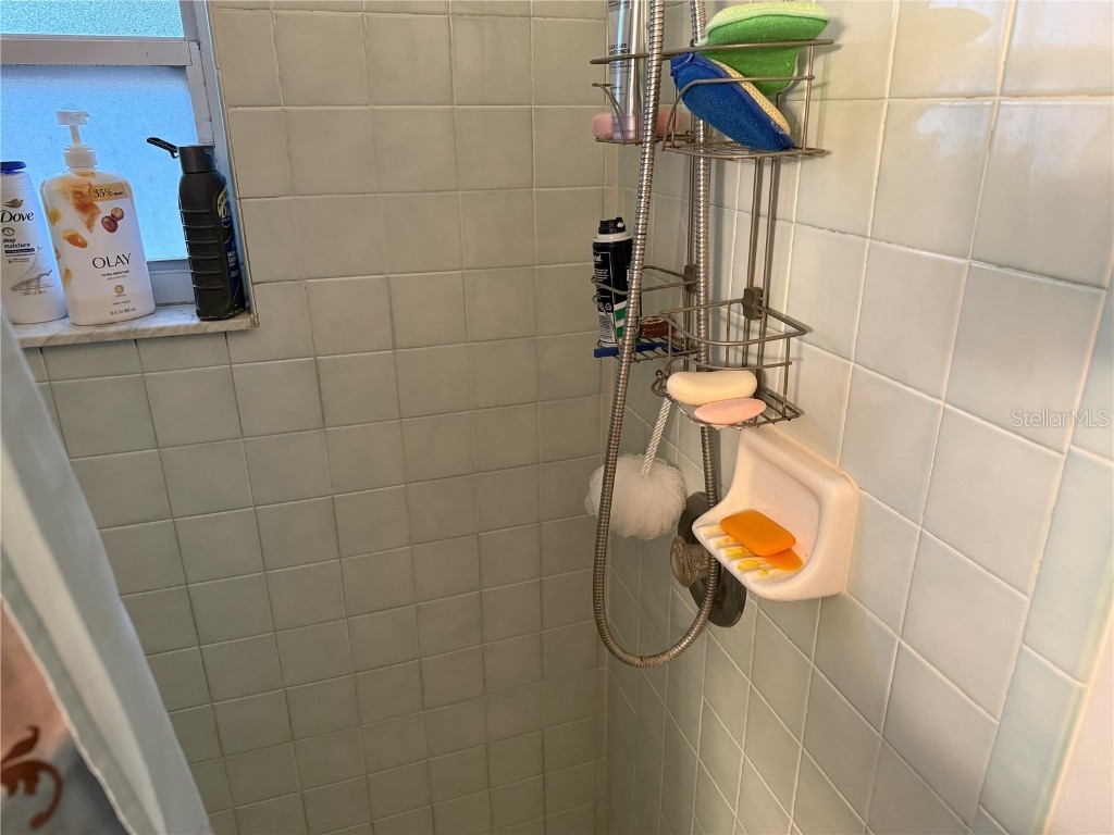 2403 County Road 416n Lake Panasoffkee FL 33538 - POND G5091476 image42