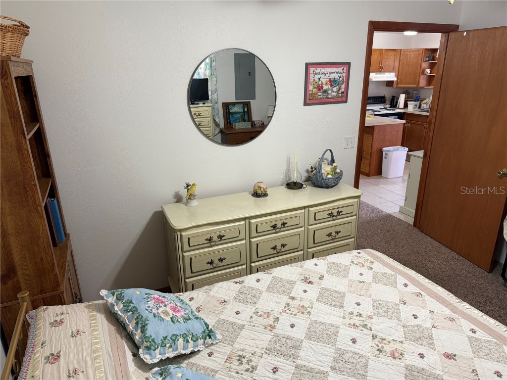 2403 County Road 416n Lake Panasoffkee FL 33538 - POND G5091476 image73