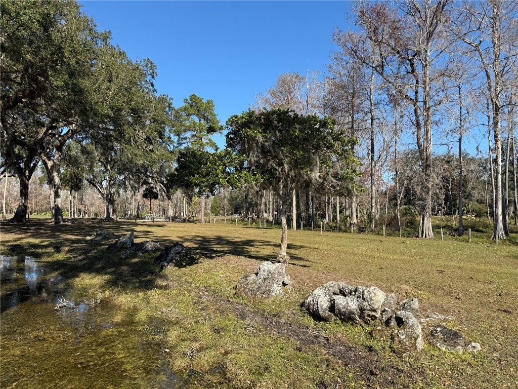 2403 County Road 416n Lake Panasoffkee FL 33538 - POND G5091476 image96