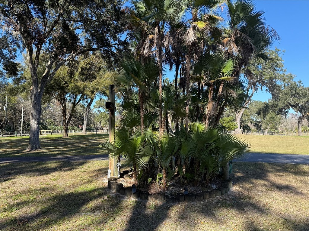 2403 County Road 416n Lake Panasoffkee FL 33538 - POND G5091476 image98